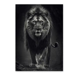 tableau de lion noir et blanc
