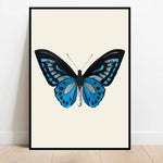 tableau papillons