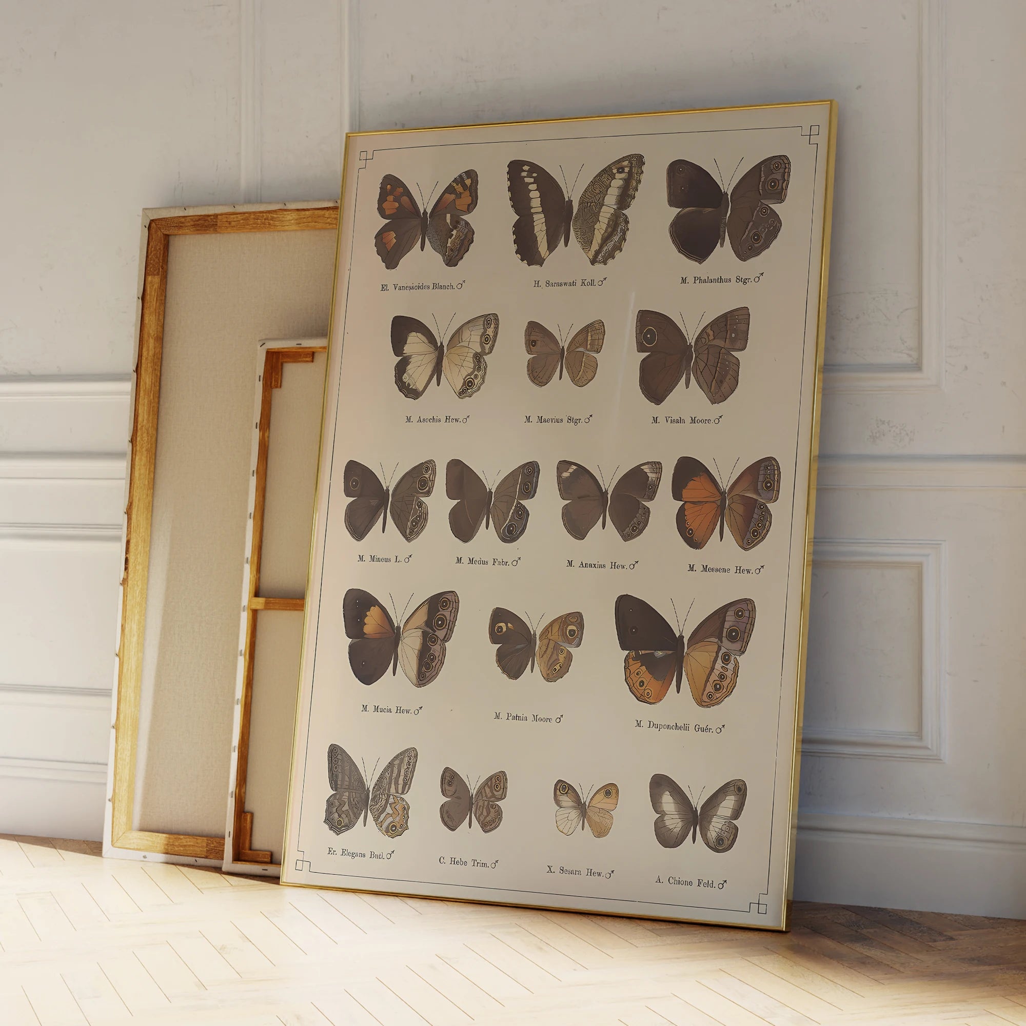 tableau à papillon