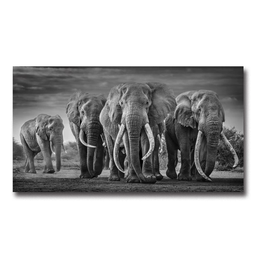 éléphant tableau