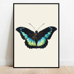 tableau papillons