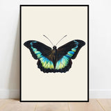 tableau papillons