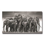 tableau d'éléphant