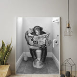 toile singe