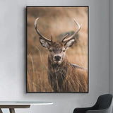 cerf tableau