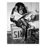 tableau ancien avec un singe
