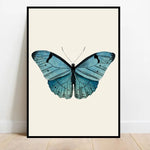 tableau papillon